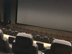 -天幕新彩云国际影城(激光巨幕店)