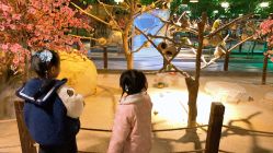 点击看大图 -酷嗒动物文化乐园(cutezoo西溪乐天城店)