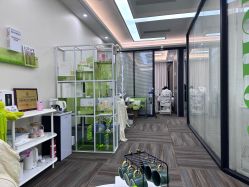 -凡碧诗毛孔清洁收细