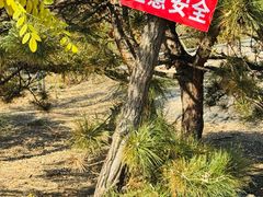 -白水寺森林公园