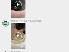 -派美特宠物医院·核磁CT·骨科肿瘤·疑难转诊(沈农禾丰店)