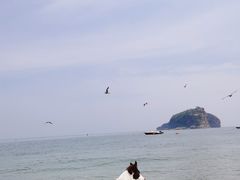 -棒棰岛宾馆景区