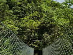 -西岭雪山大飞水景区