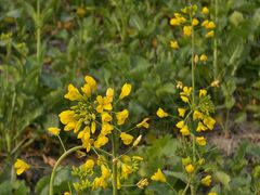 -中国天府农业博览园