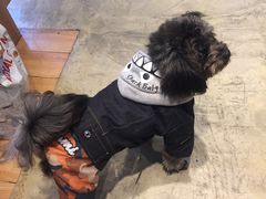 -八公叔叔宠物美容连锁(春申店)