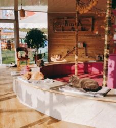 -萌宠亲子动物乐园(槐房万达店)