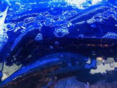 -江南鱼捞(北仑银泰城店)