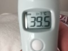 -蜜雪冰城(金地店)