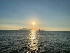 -招商蛇口邮轮母港(观光客运)