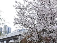 -堤角公园