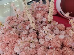 -吾悦广场(天津和平店)