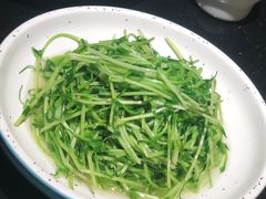 酒香炒豆苗-老头儿油爆虾·知味杭州(爱琴海购物中心)