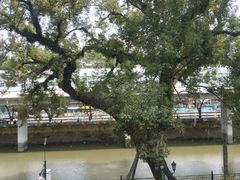 -广东胜利宾馆西关粤中餐厅