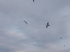 -长岛南北长山旅游景区