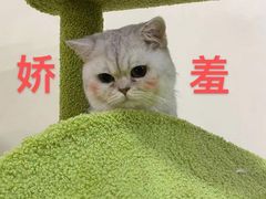 -白兔子密室(长寿路店)