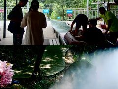 -南丹山森林王国