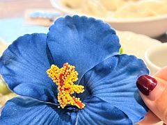 -船歌·鱼水饺青岛菜(太阳宫凯德MALL店)