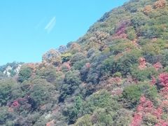 -少华山国家森林公园