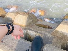 -野狸岛