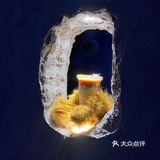 魔都新店|永康路上的神秘洞穴咖啡店☕