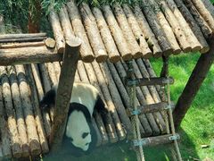 -大连森林动物园