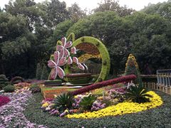 -汇龙潭