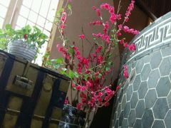 -青水瓦台(新村店)