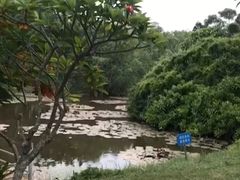 -白沙门生态公园