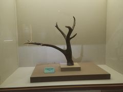 -北京麋鹿生态实验中心