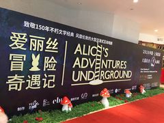 -爱丽丝冒险奇遇记