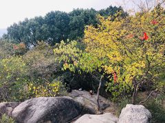 -灵岩山风景区