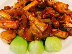 红烧蹄筋-紫光园(劲松店)