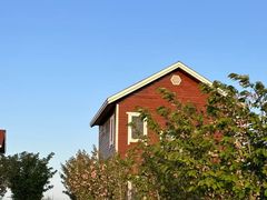 -莱阳濯村樱花园