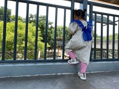 -石家庄市动物园