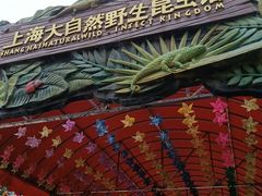 -上海大自然野生昆虫馆(东方明珠·爬宠昆虫探索中心)