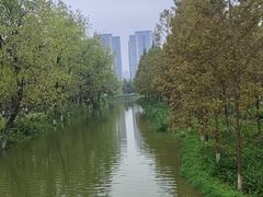 -洋湖国家湿地公园