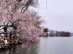 -颐和园