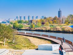 -西海子公园