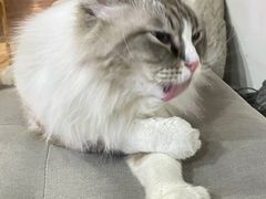 -白兔子密室(长寿路店)