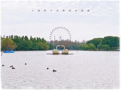 -上海野生动物园