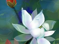 -耳语轻风专业采耳馆(古北花世界商业广场店)