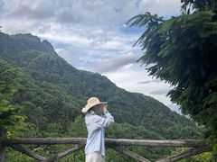 -牛背梁国家森林公园