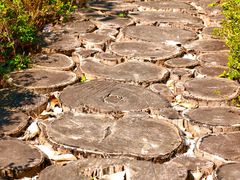 -三门江国家森林公园