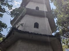 -江心屿景区