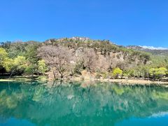 -玉湖村