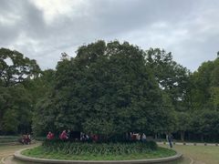 -灵谷景区