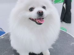 -全心全意连锁动物医院(加州店)