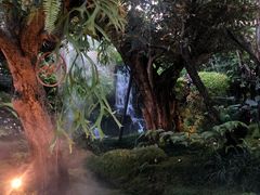 -Chom Cafe and Restaurant