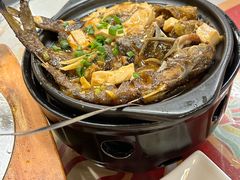 -来客家食府 · 福建客家菜