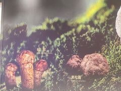 -沈阳铁西万象汇